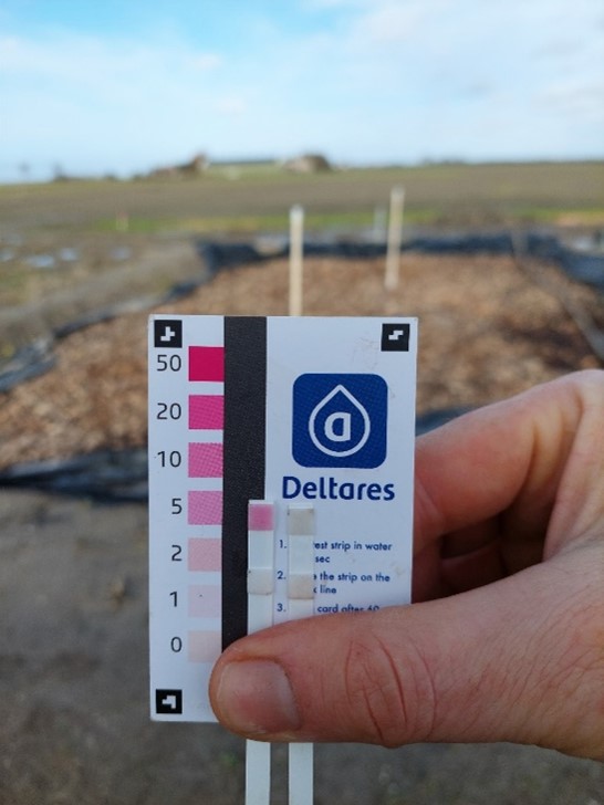 nitraat teststrips filter.jpg (62 KB)